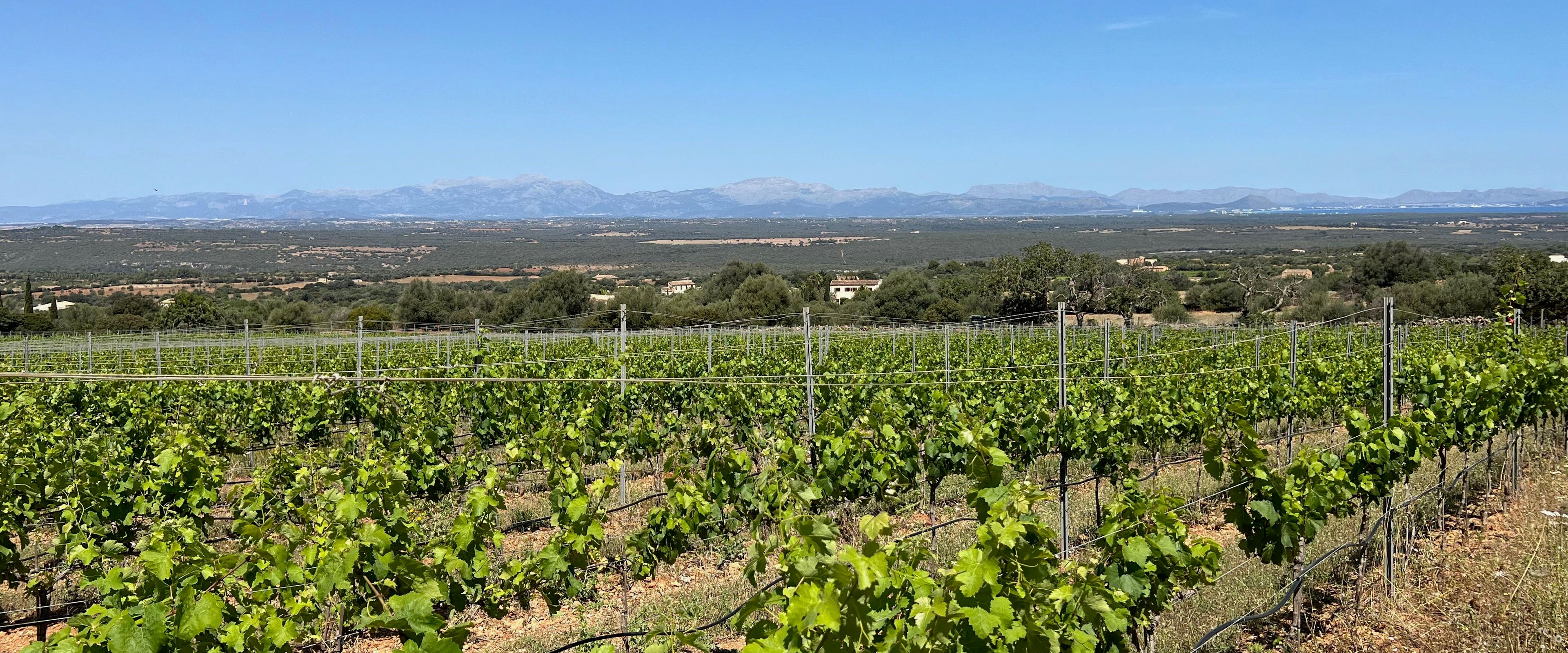 Tres Tierras