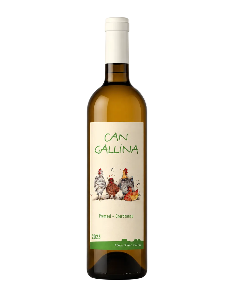 Weißwein 2023 Can Gallina Premsal Chardonnay Frisch. Fruchtig. Mediterran.